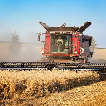 Moissonneuse-batteuse récoltant une culture agricole destinée à des usages énergétiques